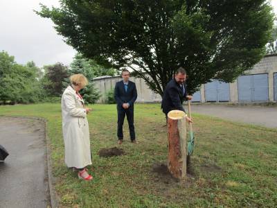 Pflanzung eines Freundschaftsbaumes mit der Landr�tin Kopalska.